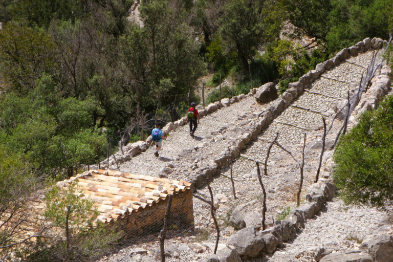 Tramuntana central 03