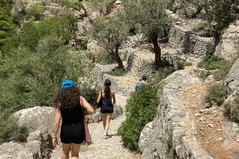 Tramuntana universal 09