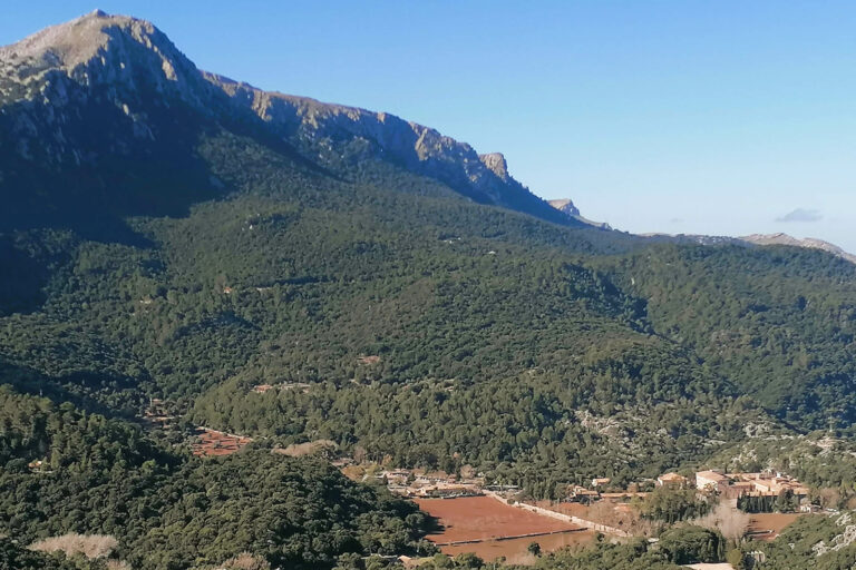 Tramuntana universal 10